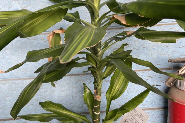 44947312-95F1-4491-B07F-F0DFC45EEFC1